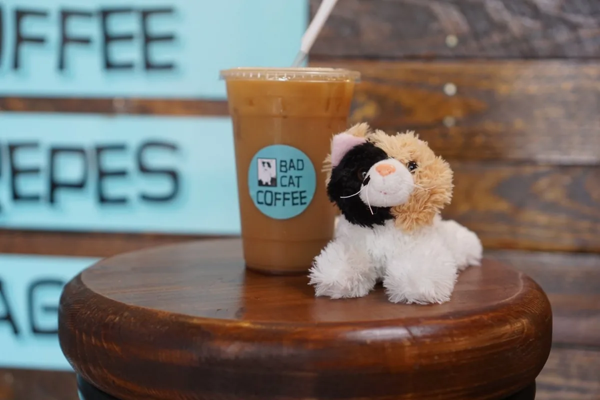 Bad Cat Coffee Westgate Road