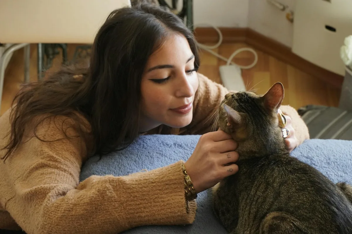 Caffeinated Cat — cat cafe in Jacksonville, Florida
