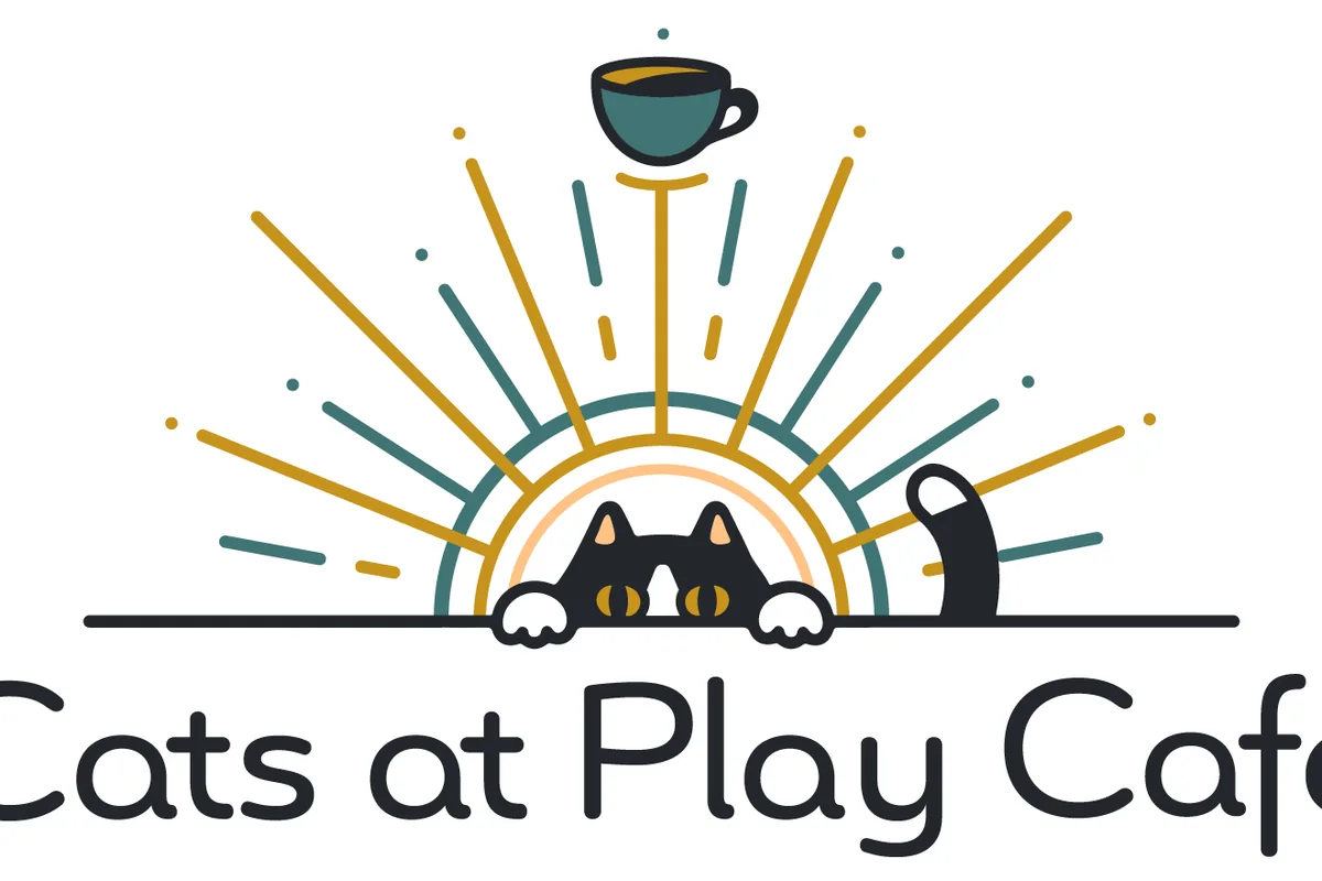 Cats at Play Cafe — cat cafe in Asheville, North Carolina