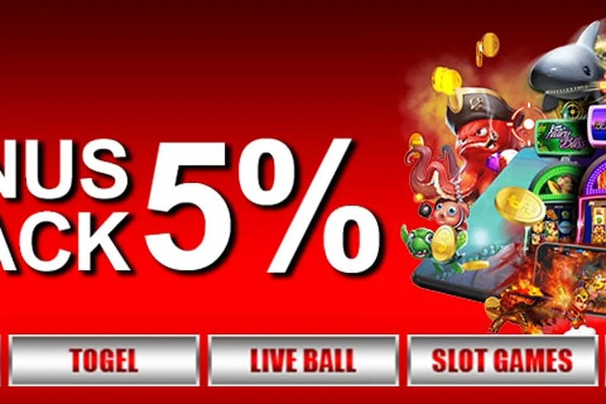 Confetti Cats — cat cafe in Cincinnati, Ohio