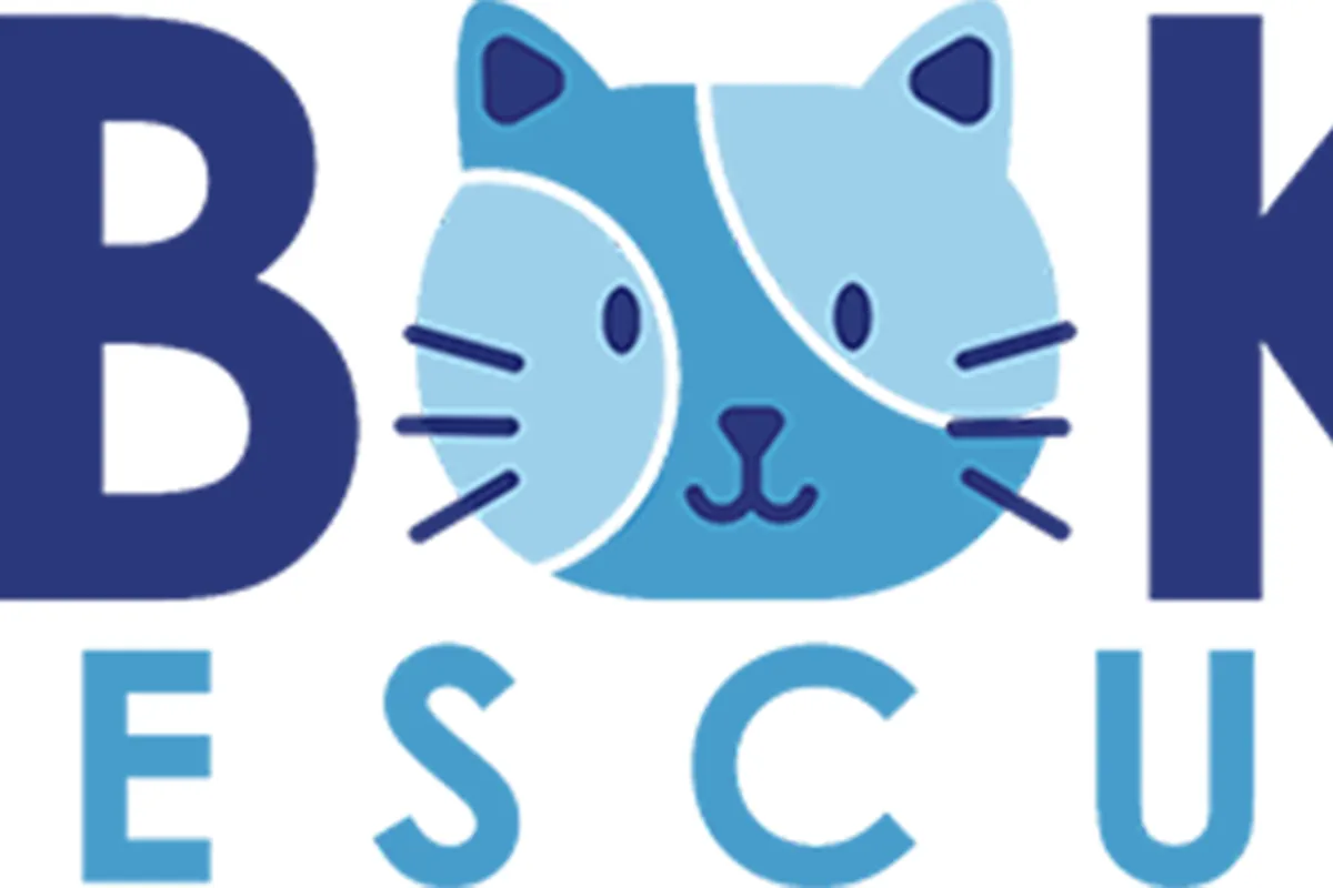 Itty Bitty Kitty Cafe — cat cafe in San Jose, California