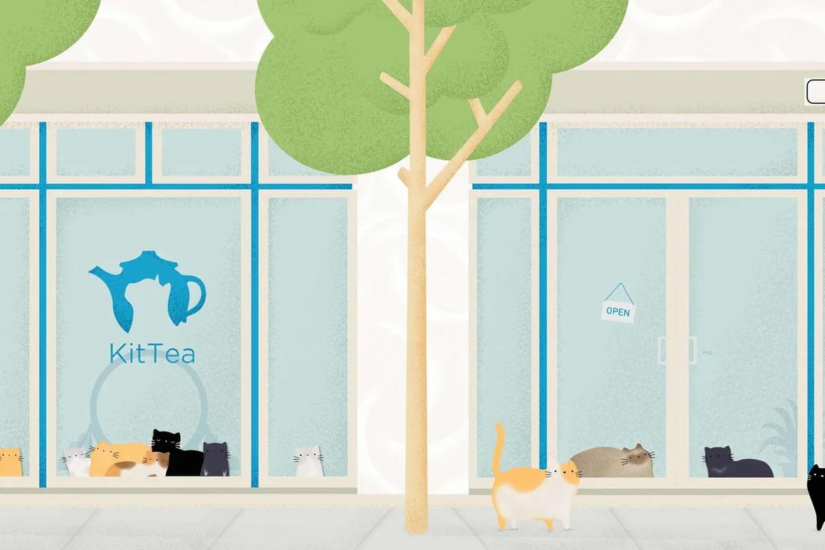 Cat cafes in San Francisco