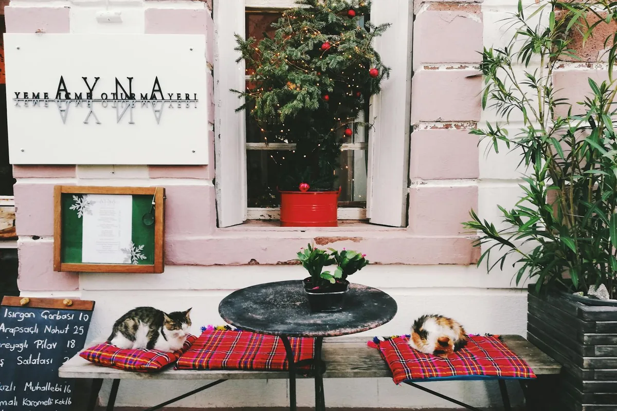 Cat cafes in Kansas City