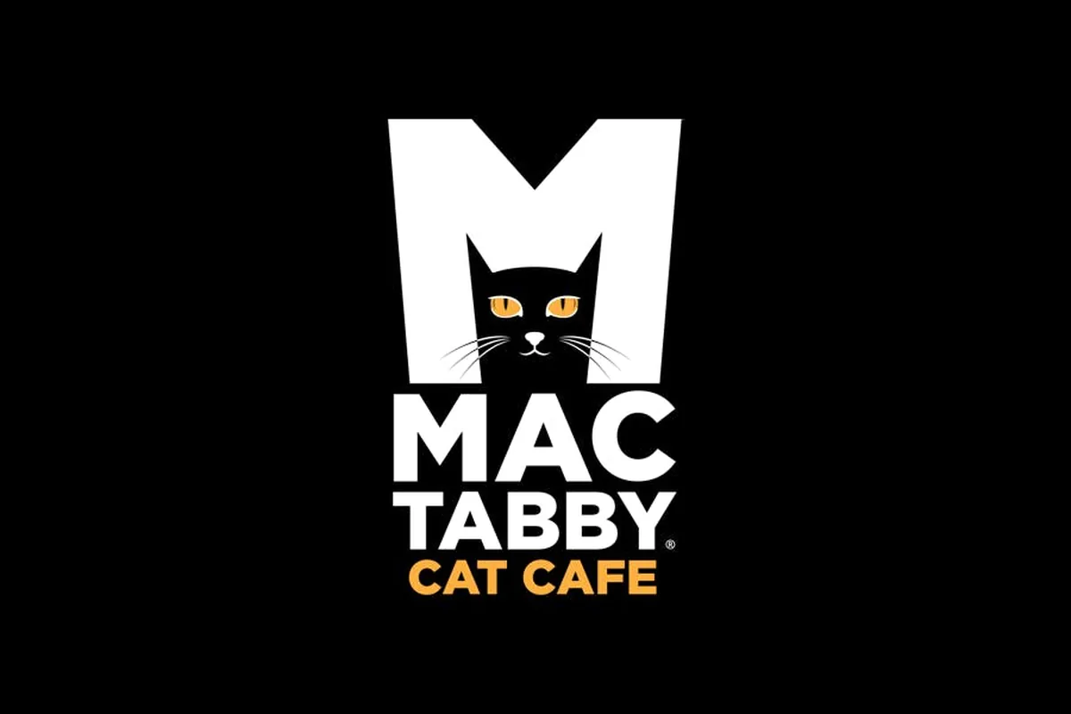 Mac Tabby Cat Cafe - Salisbury — cat cafe in Charlotte, North Carolina
