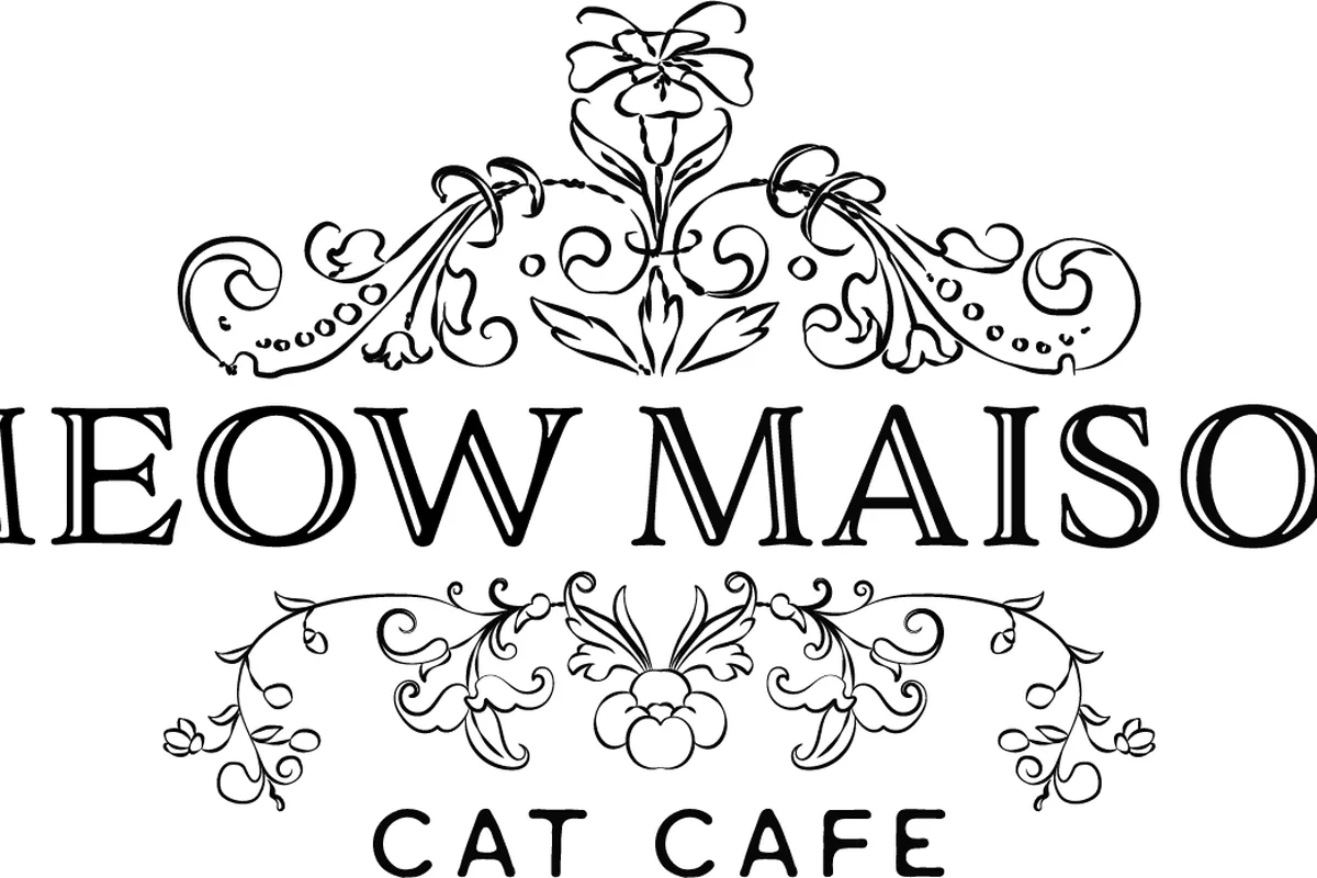 Meow Maison