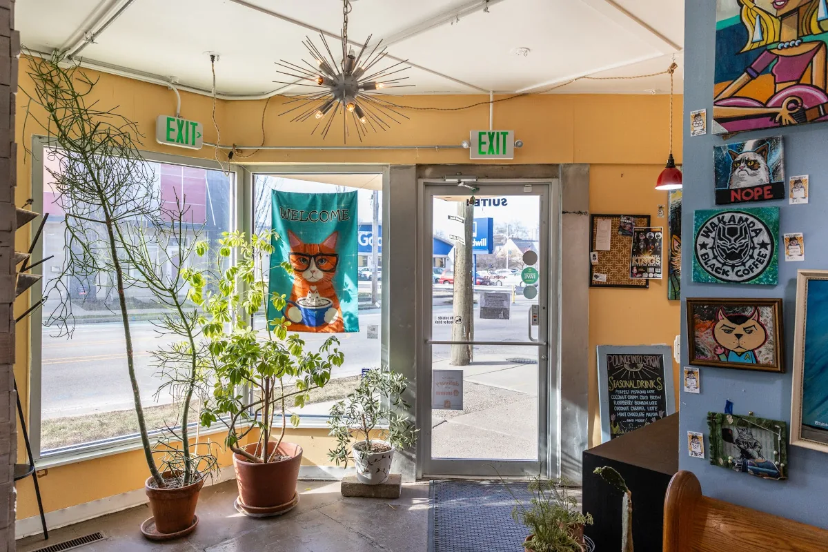 Nine Lives Cafe & Cat Lounge