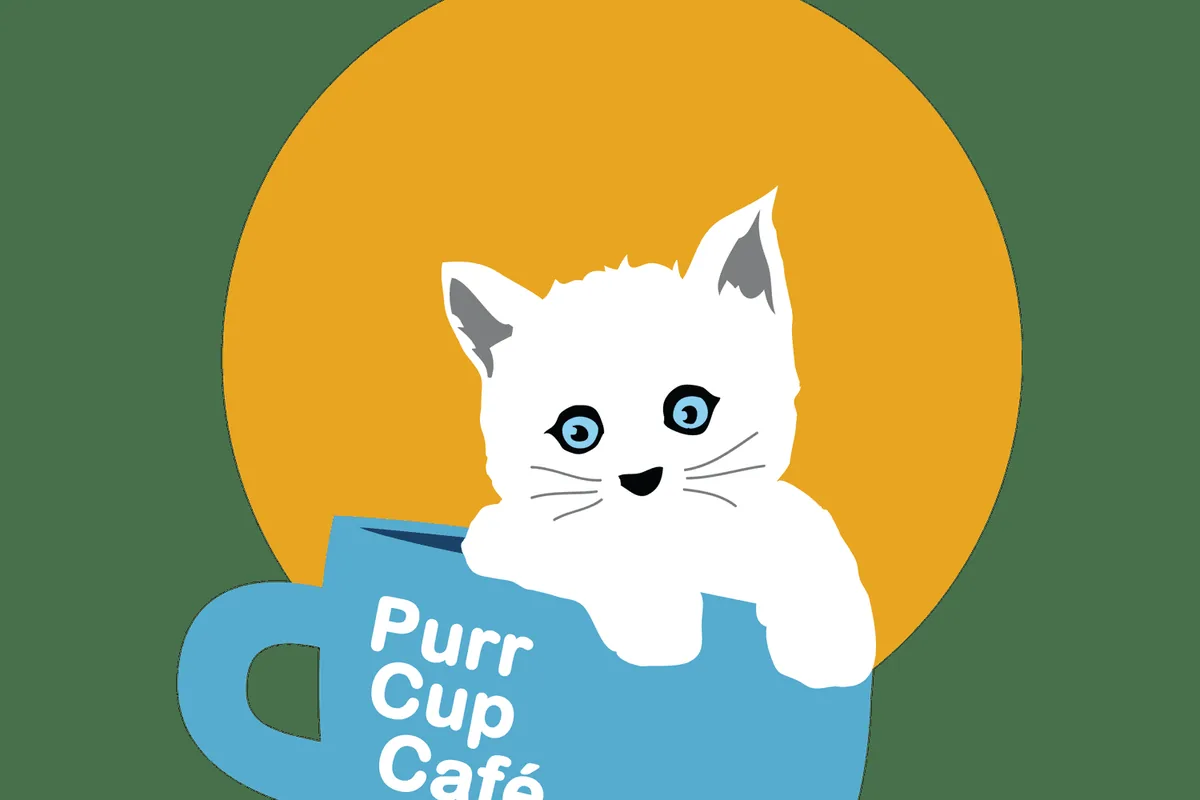 Cat cafes in Raleigh
