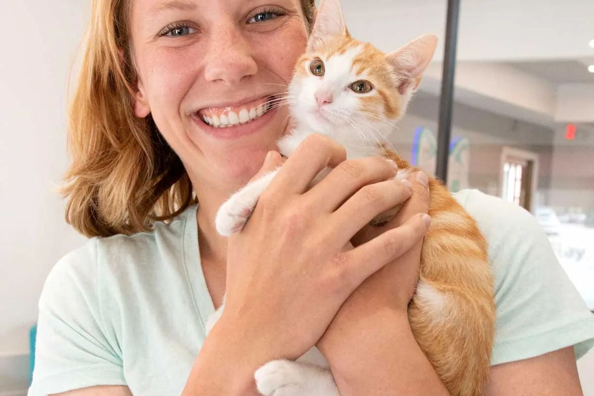 Purrfect Day Cat Cafe