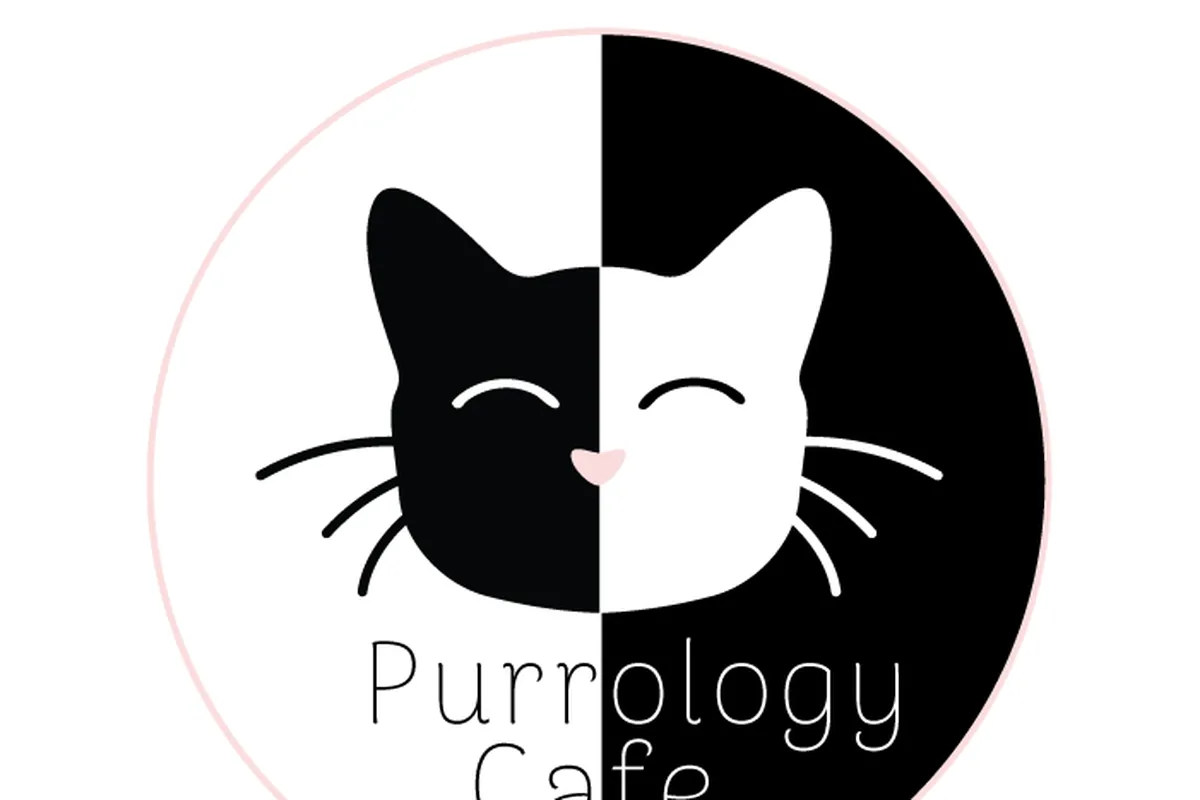 Purrology Cat Cafe — cat cafe in Tampa, Florida