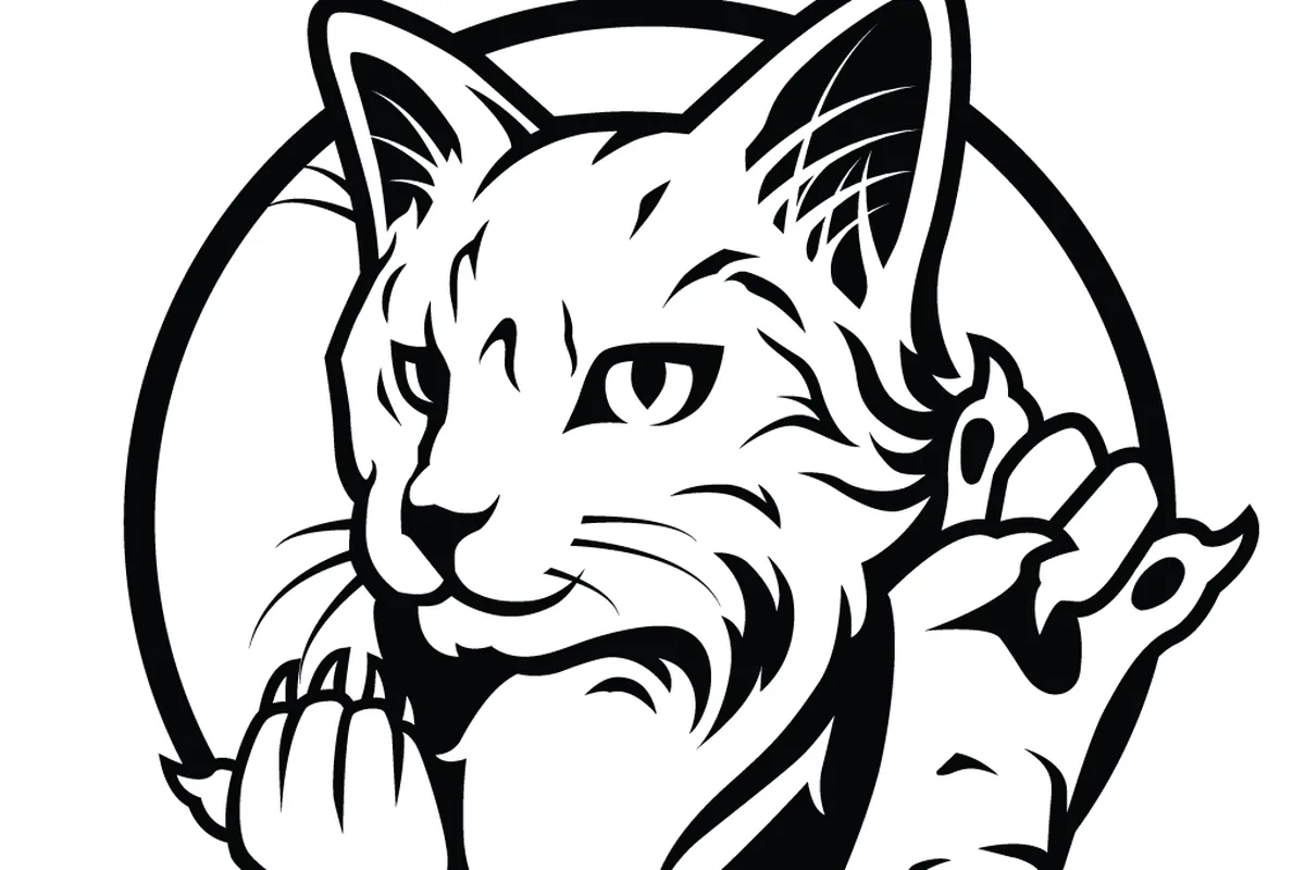 Rockin' Cat Organic Coffee & Tea Point Breeze — cat cafe in Pittsburgh, Pennsylvania