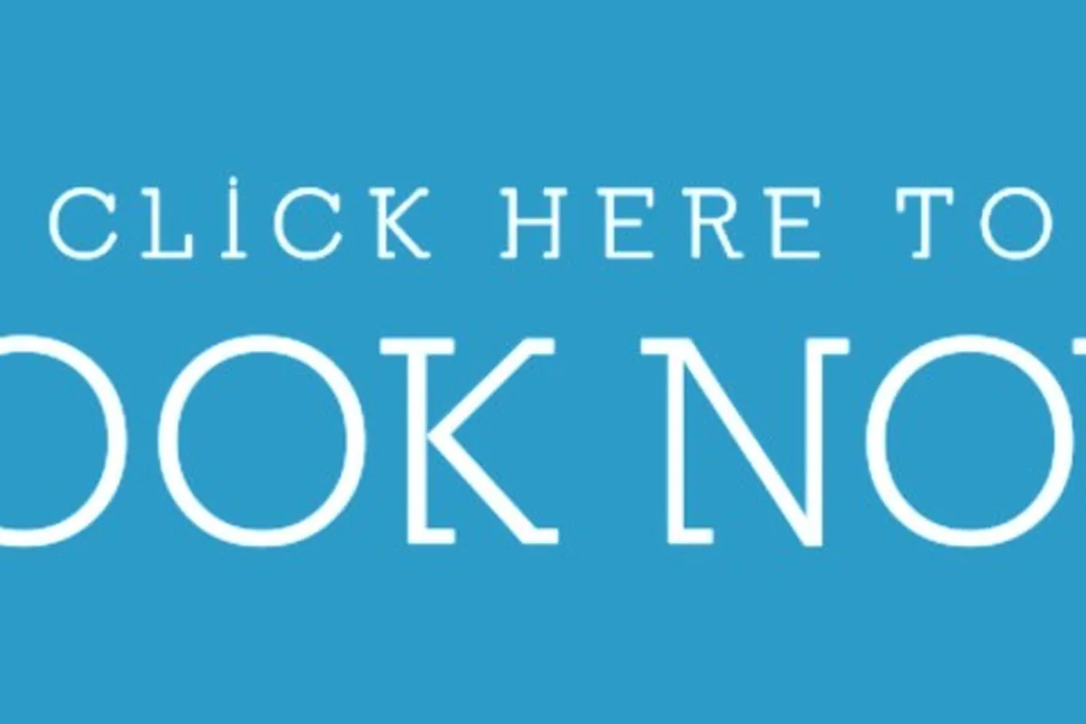 Sassy Cat Club Cafe — cat cafe in St. Petersburg, Florida