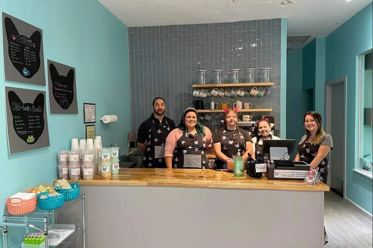 Cat cafes in El Paso