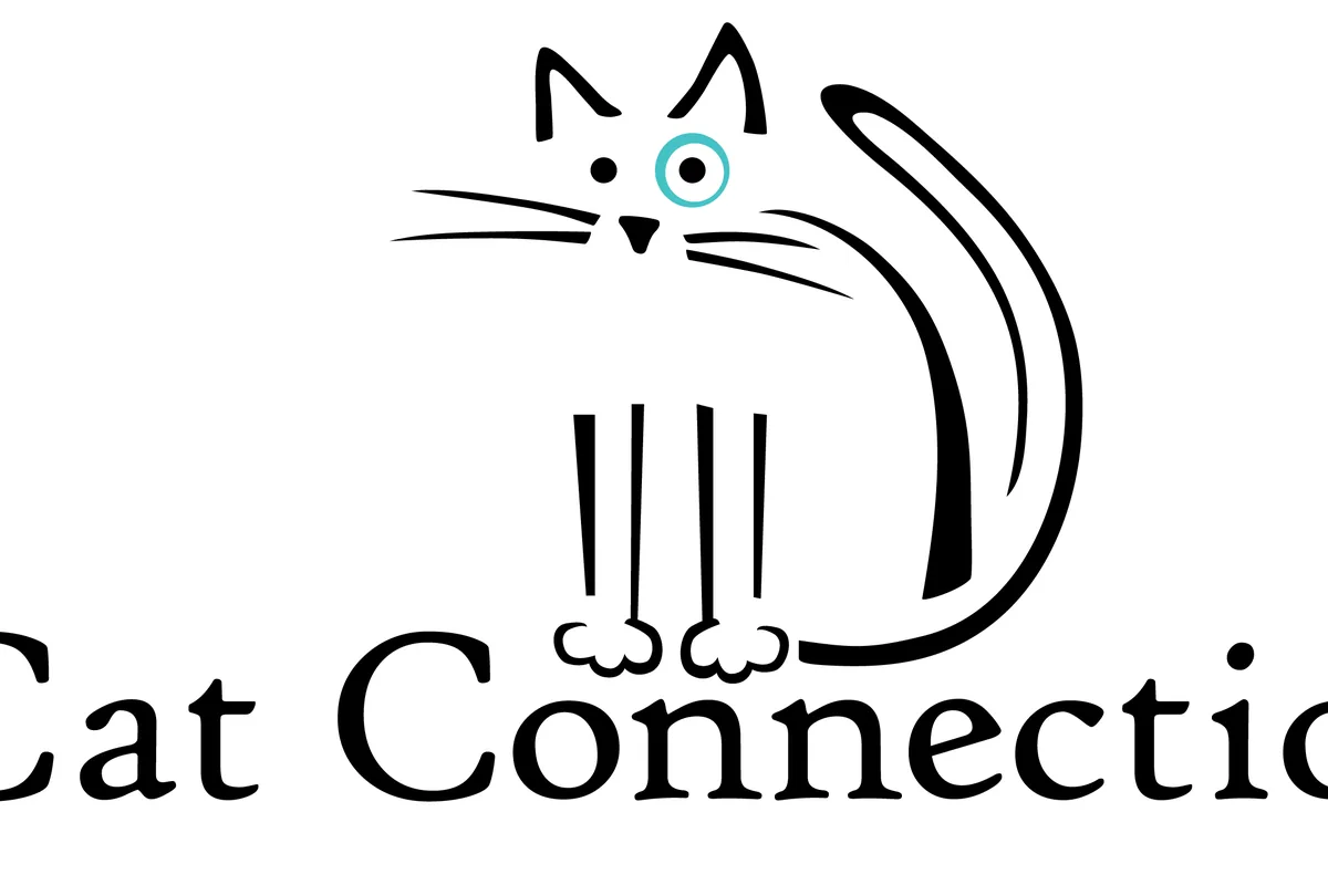 The Cat Connection — cat cafe in Dallas, Texas