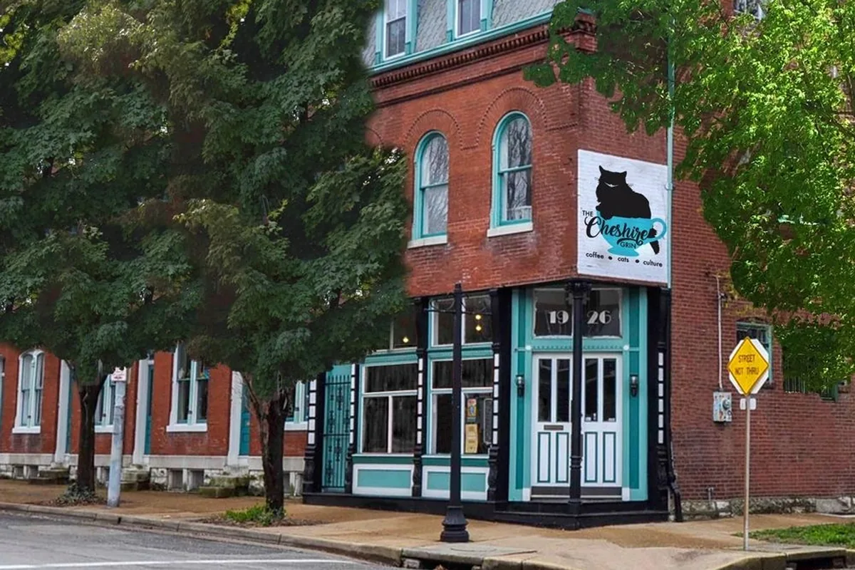 The Cheshire Grin Cat Cafe — cat cafe in St. Louis, Missouri