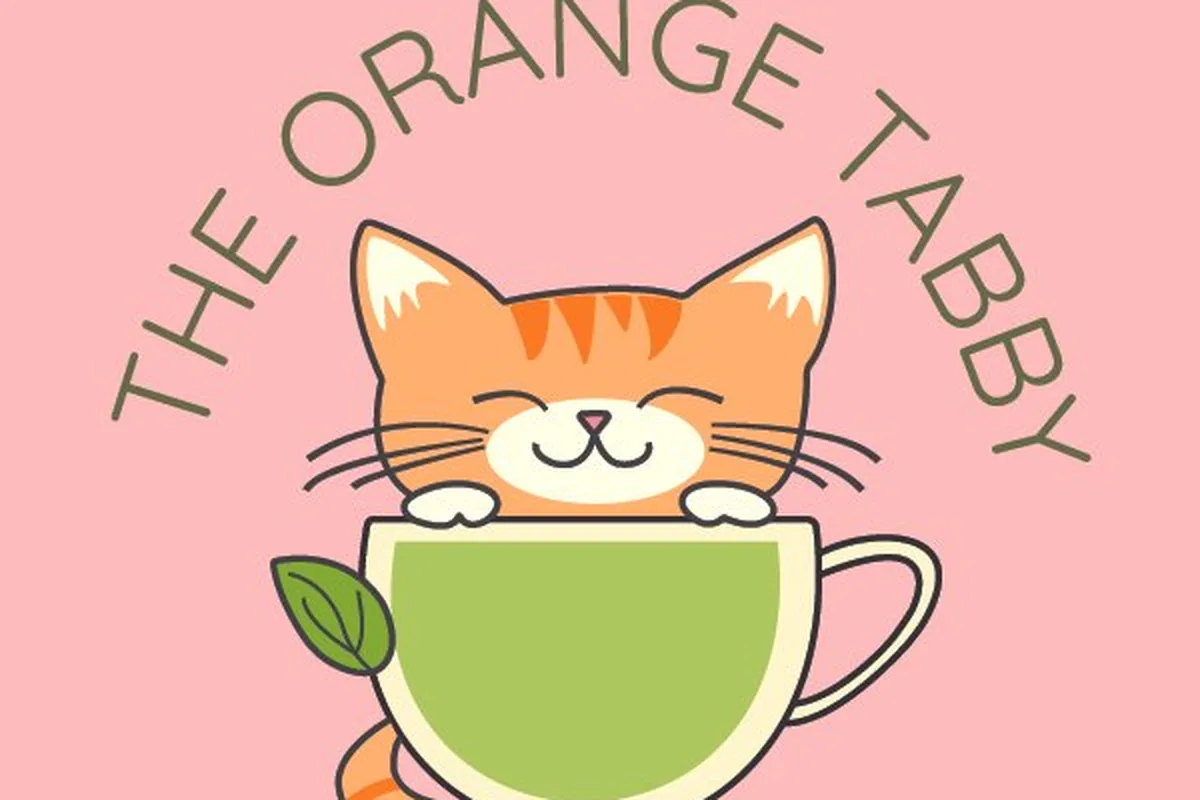 The Orange Tabby — cat cafe in San Jose, California