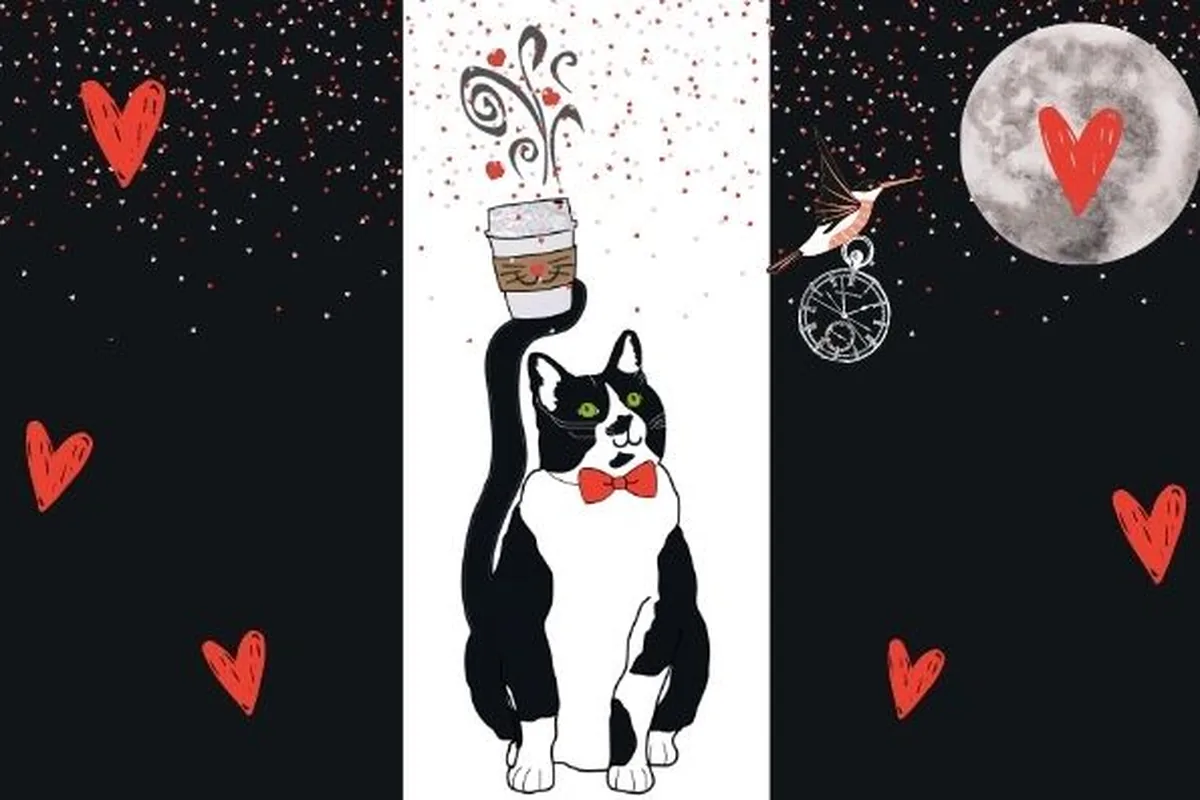 Cat cafes in San Antonio