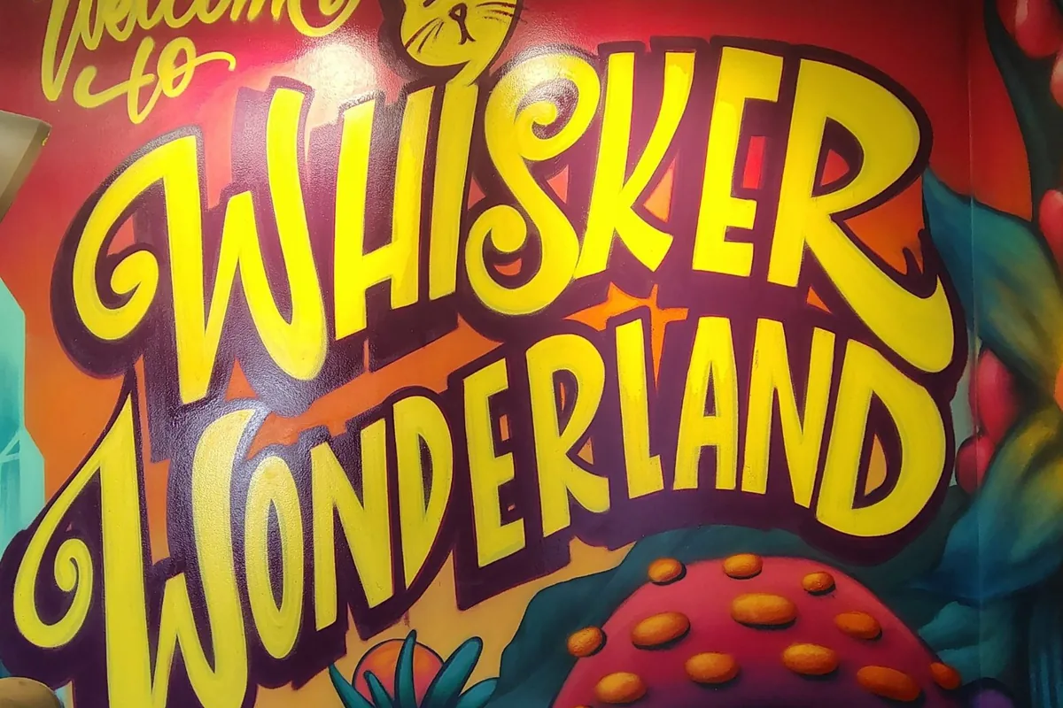 Whisker Wonderland — cat cafe in Pittsburgh, Pennsylvania