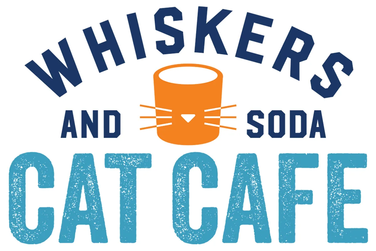 Whiskers and Soda — cat cafe in Fort Worth, Texas